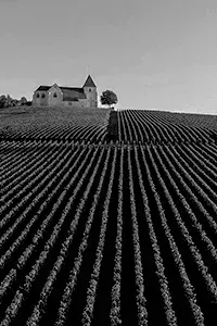 Weine aus Frankreich