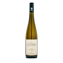 Weingut Schmidl Grüner Veltliner Steinfeder, Ried Alte Point 2025 0,75l