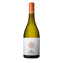 Casal de Ventozela ALVARINHO 2024 0,75l