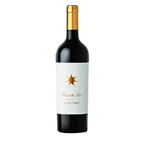 Clos de los Siete Mendoza 2021 0,75l