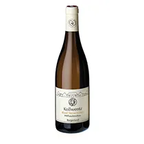 Kollwentz Sauvignon Blanc Steinmühle Methusalemreben 2020 0,75l