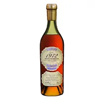 Prunier Cognac Millésimé Petite Champagne 58.9% 1989 0,7l