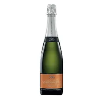 Roger Manceaux Champagne Extra Brut 100% Meuniers  0,75l