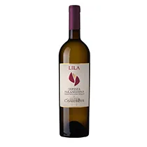 Tenuta Cavalier Pepe Irpinia Falanghina doc.Lila 2024 0,75l
